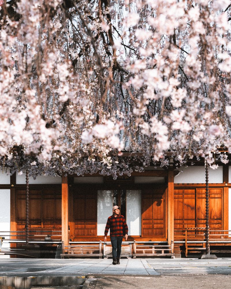 Alvin Tan Photography